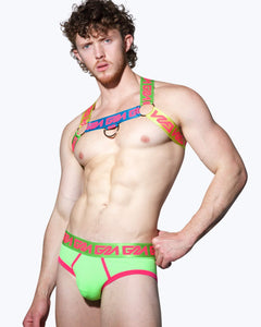 Rainbow Harness